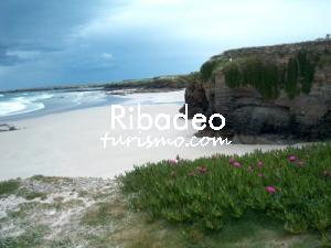 Fotografia